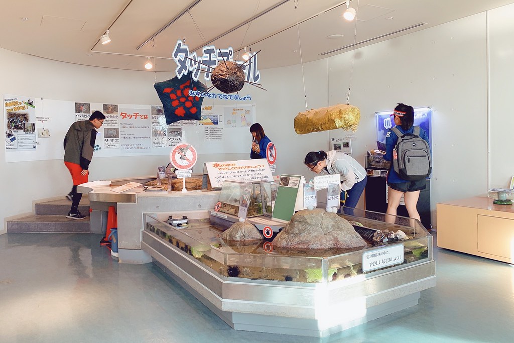 日本秋田｜男鹿半島一日遊．騎自行車挑戰24K – 哥吉拉岩 – 男鹿海鮮市場 – 男鹿半島Sea Bird觀光船 – 男鹿水族館GAO – なまはげオートキャンプ場 @飛天璇的口袋