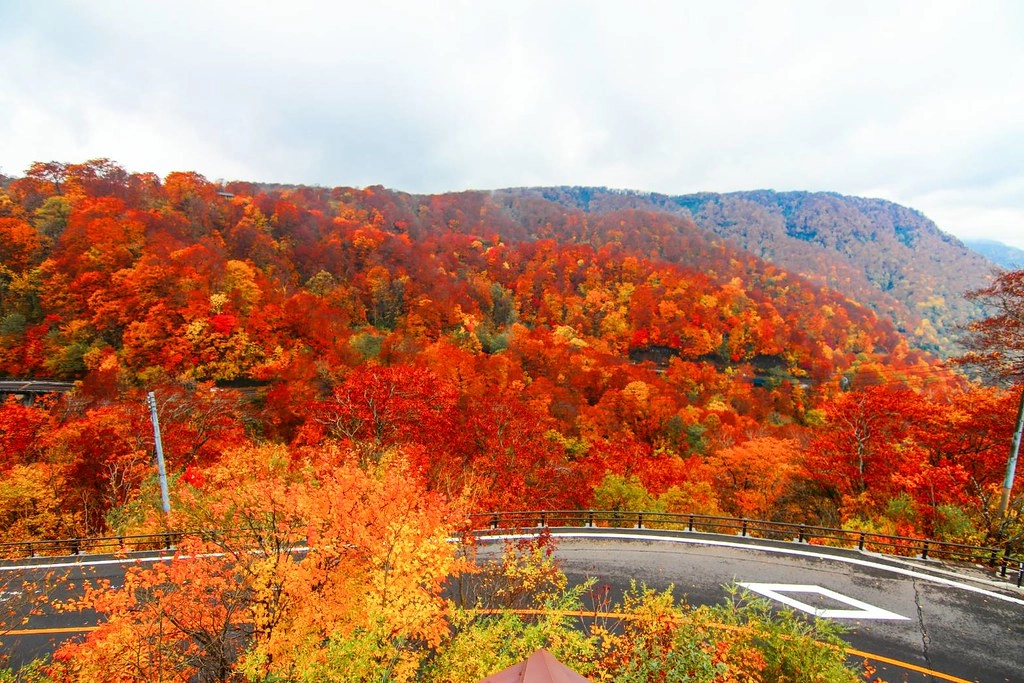 日本秋田｜十和田湖 発荷峠展望台．秋田十和田湖的最佳觀景台，一年四季有不同的美景 @飛天璇的口袋