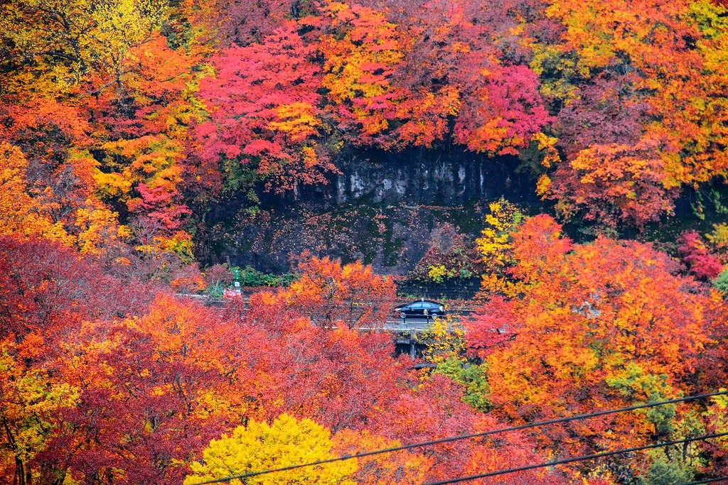 日本秋田｜十和田湖 発荷峠展望台．秋田十和田湖的最佳觀景台，一年四季有不同的美景 @飛天璇的口袋