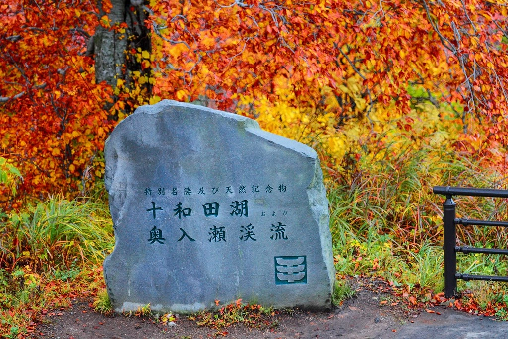 日本秋田｜十和田湖 発荷峠展望台．秋田十和田湖的最佳觀景台，一年四季有不同的美景 @飛天璇的口袋