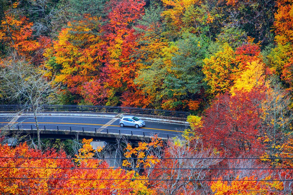 日本秋田｜十和田湖 発荷峠展望台．秋田十和田湖的最佳觀景台，一年四季有不同的美景 @飛天璇的口袋