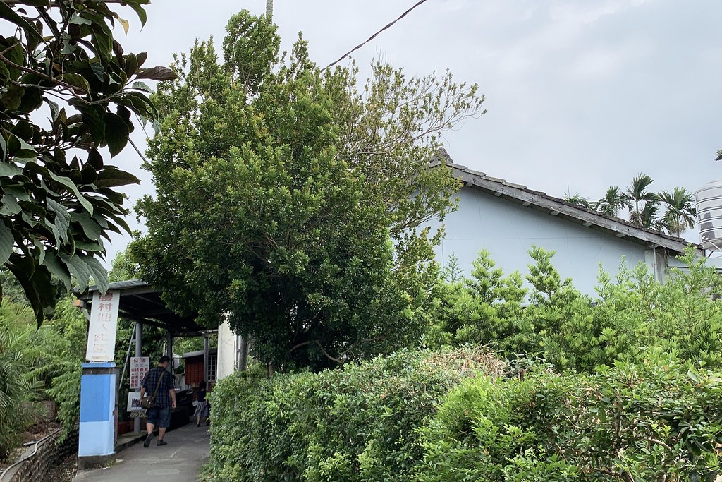 田尾農村仙人掌園｜巨型仙人掌IG打卡熱門景點，50年大鳳龍營造可愛的沙漠風情 @飛天璇的口袋