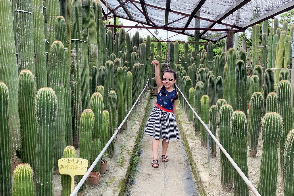 田尾農村仙人掌園｜巨型仙人掌IG打卡熱門景點，50年大鳳龍營造可愛的沙漠風情 @飛天璇的口袋