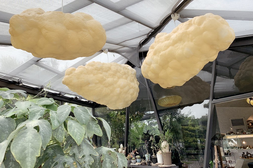 酉 Succulent & Artwork┃彰化田尾：超美塊根植物專賣店，IG網美熱門打卡景點 @飛天璇的口袋