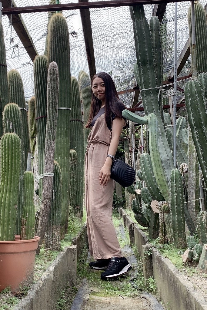 田尾農村仙人掌園｜巨型仙人掌IG打卡熱門景點，50年大鳳龍營造可愛的沙漠風情 @飛天璇的口袋