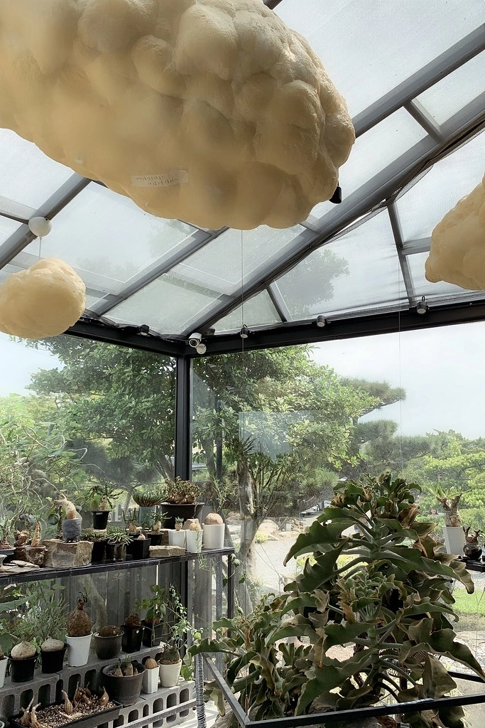 酉 Succulent & Artwork┃彰化田尾：超美塊根植物專賣店，IG網美熱門打卡景點 @飛天璇的口袋