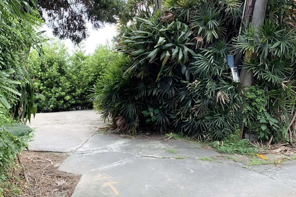 田尾農村仙人掌園｜巨型仙人掌IG打卡熱門景點，50年大鳳龍營造可愛的沙漠風情 @飛天璇的口袋
