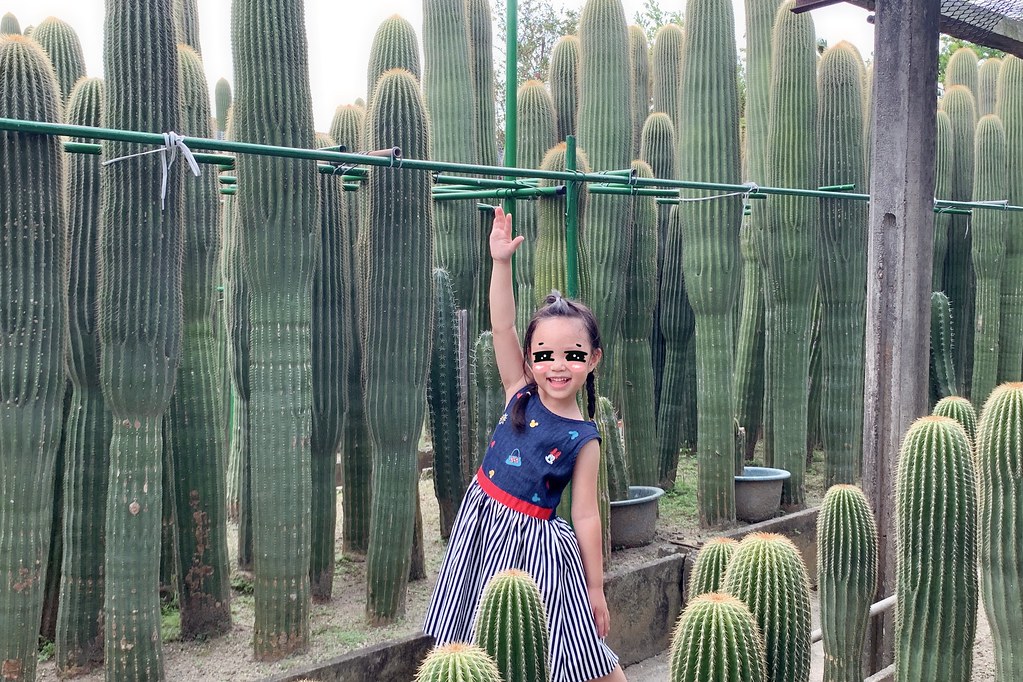 田尾農村仙人掌園｜巨型仙人掌IG打卡熱門景點，50年大鳳龍營造可愛的沙漠風情 @飛天璇的口袋