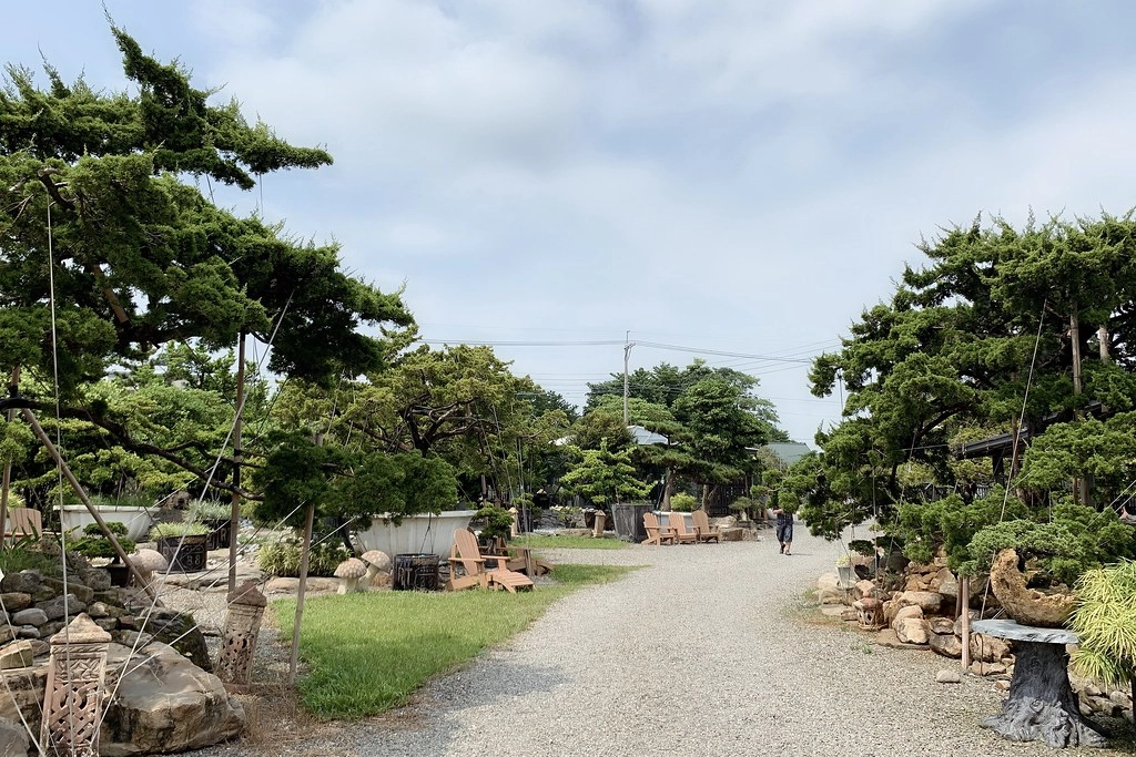 酉 Succulent & Artwork┃彰化田尾：超美塊根植物專賣店，IG網美熱門打卡景點 @飛天璇的口袋