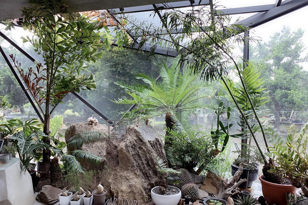 酉 Succulent & Artwork┃彰化田尾：超美塊根植物專賣店，IG網美熱門打卡景點 @飛天璇的口袋