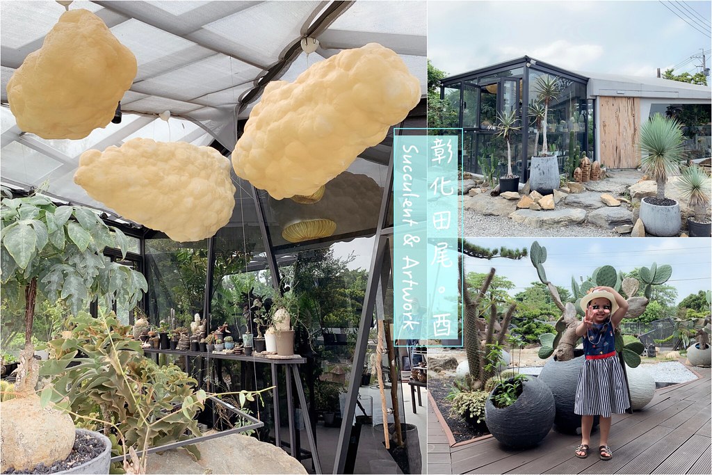 酉 Succulent & Artwork┃彰化田尾：超美塊根植物專賣店，IG網美熱門打卡景點 @飛天璇的口袋