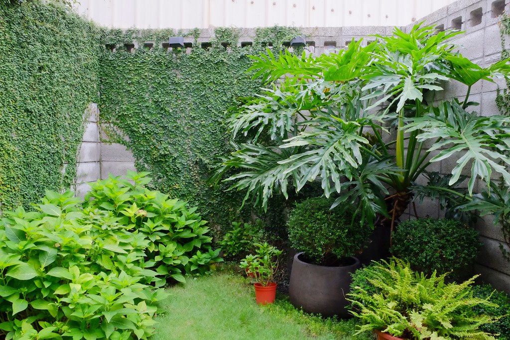 Babyface~清爽好吃的磅蛋糕，寶寶彌月蛋糕首選，台中伴手禮推薦！ @飛天璇的口袋