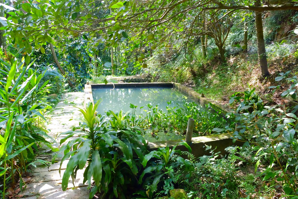 貝岩居農場｜隱身於山林間的窯烤麵包，還有露營場地和生態教學導覽 @飛天璇的口袋
