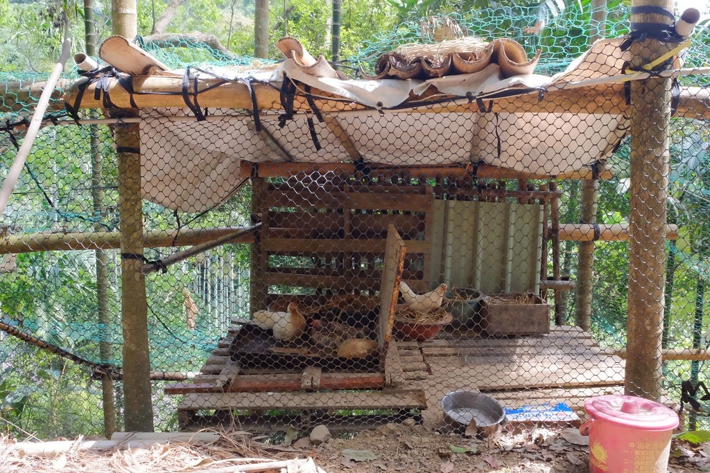 貝岩居農場｜隱身於山林間的窯烤麵包，還有露營場地和生態教學導覽 @飛天璇的口袋