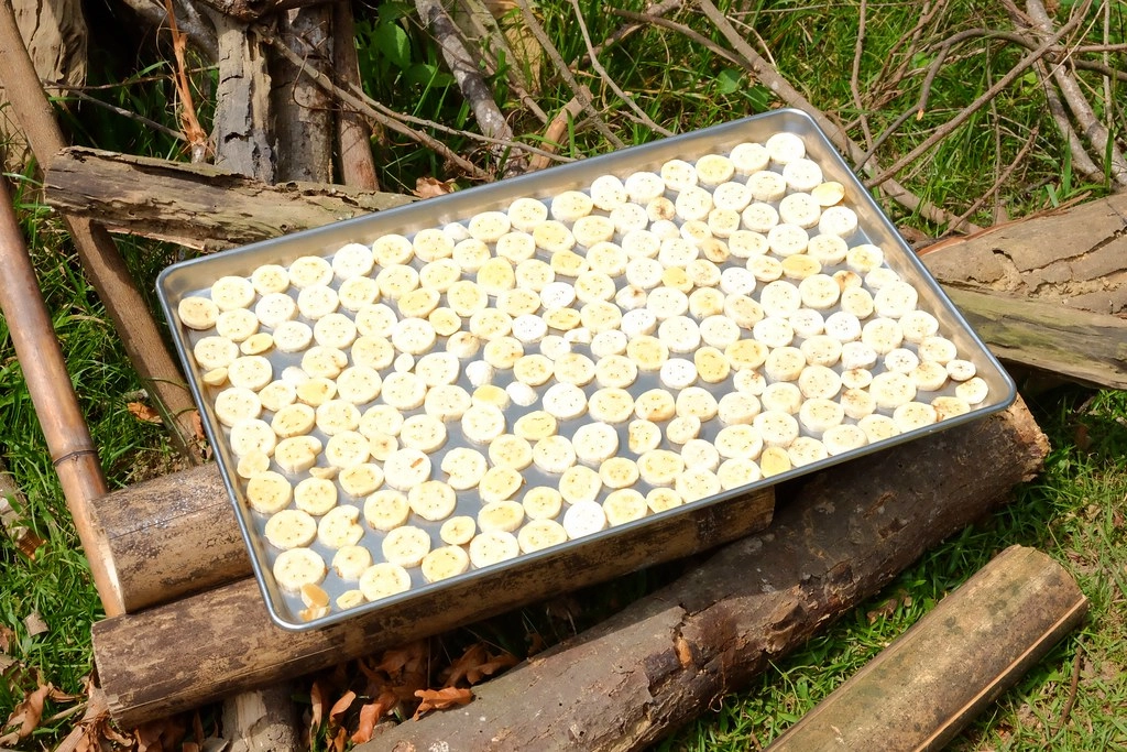 貝岩居農場｜隱身於山林間的窯烤麵包，還有露營場地和生態教學導覽 @飛天璇的口袋