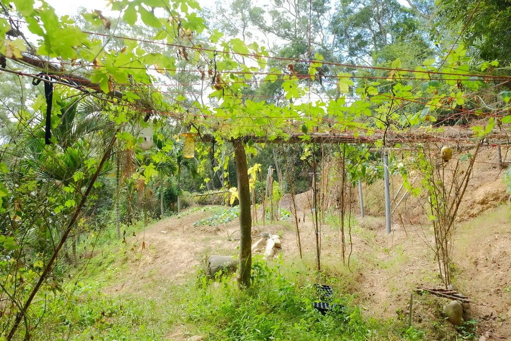 貝岩居農場｜隱身於山林間的窯烤麵包，還有露營場地和生態教學導覽 @飛天璇的口袋