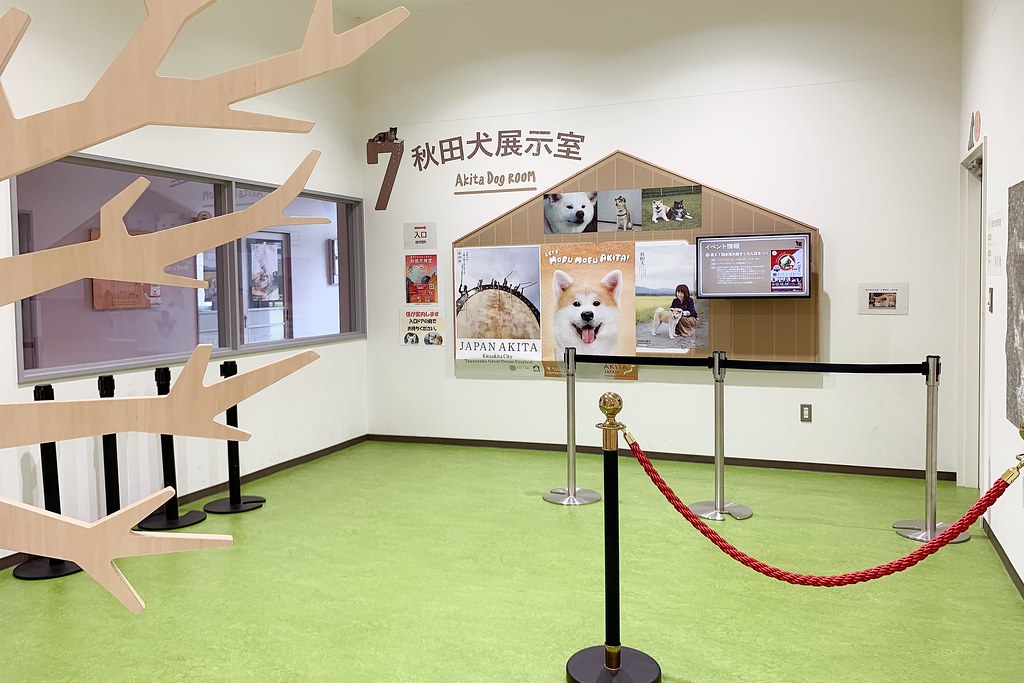 日本秋田｜秋田大館一日遊．秋田犬的故鄉-大館，小坂鉄道、秋田犬の里、秋田比内や大館本店 @飛天璇的口袋