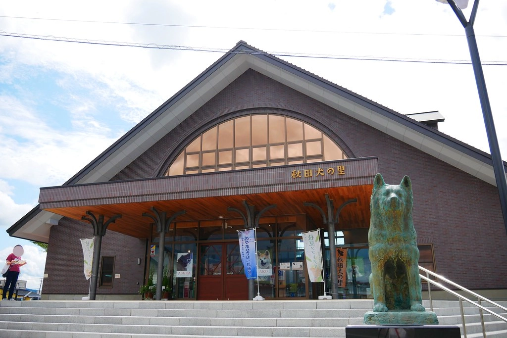 日本秋田｜秋田大館一日遊．秋田犬的故鄉-大館，小坂鉄道、秋田犬の里、秋田比内や大館本店 @飛天璇的口袋