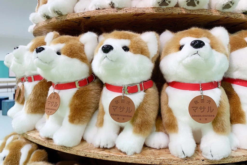 日本秋田｜秋田大館一日遊．秋田犬的故鄉-大館，小坂鉄道、秋田犬の里、秋田比内や大館本店 @飛天璇的口袋