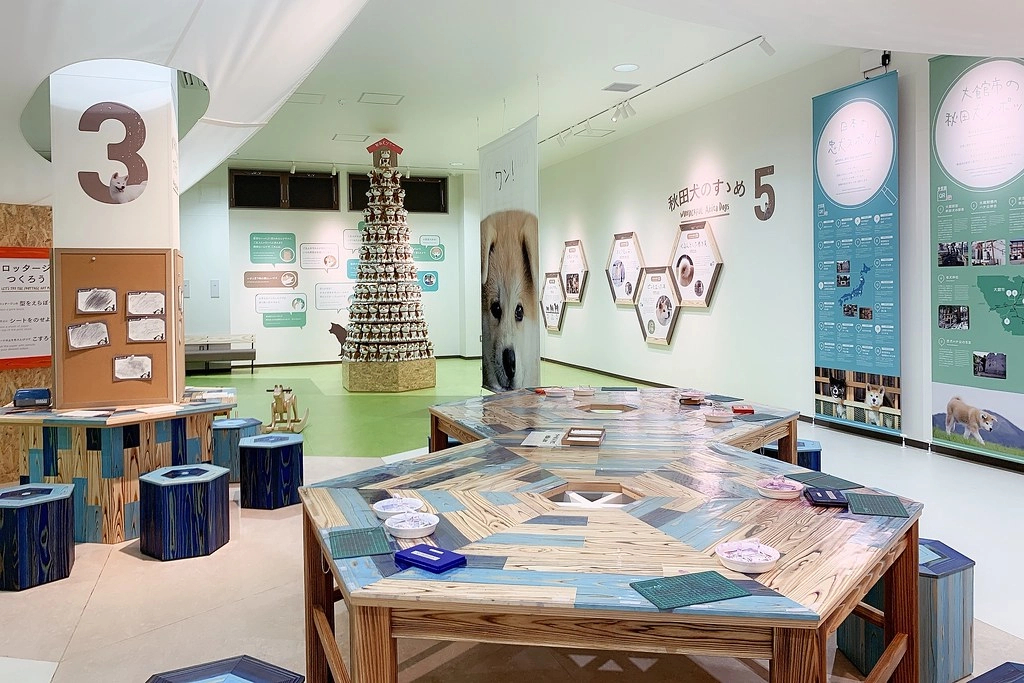 日本秋田｜秋田大館一日遊．秋田犬的故鄉-大館，小坂鉄道、秋田犬の里、秋田比内や大館本店 @飛天璇的口袋