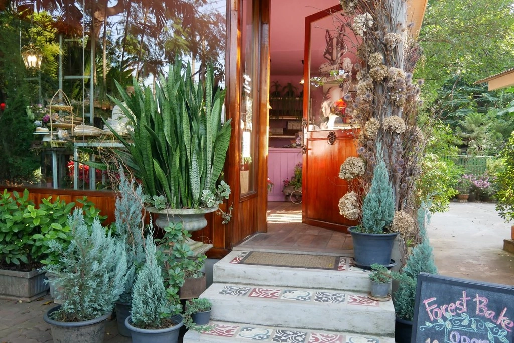 泰國清邁｜Forest Bake麵包甜點店，清邁最美的麵包店，森林系的可愛的甜點屋 @飛天璇的口袋