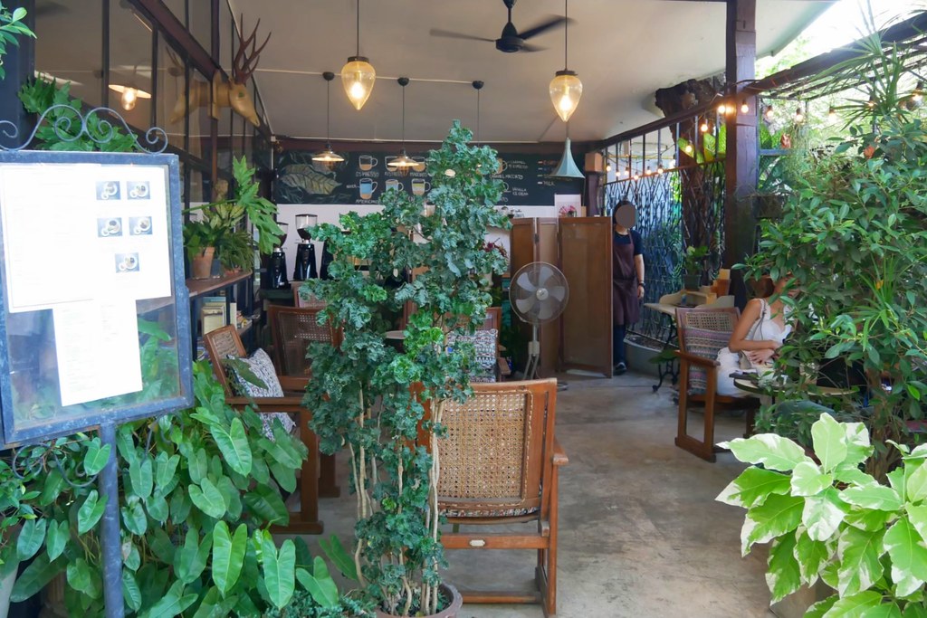 泰國清邁｜Forest Bake麵包甜點店，清邁最美的麵包店，森林系的可愛的甜點屋 @飛天璇的口袋