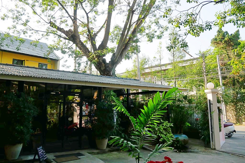 泰國清邁｜Forest Bake麵包甜點店，清邁最美的麵包店，森林系的可愛的甜點屋 @飛天璇的口袋