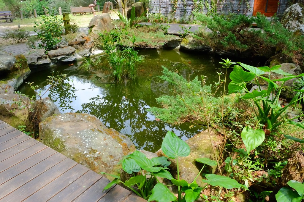 苗栗三義｜綠葉方舟，隱身於山林裡的森林系餐廳，大片草池湖畔美景超療癒 @飛天璇的口袋
