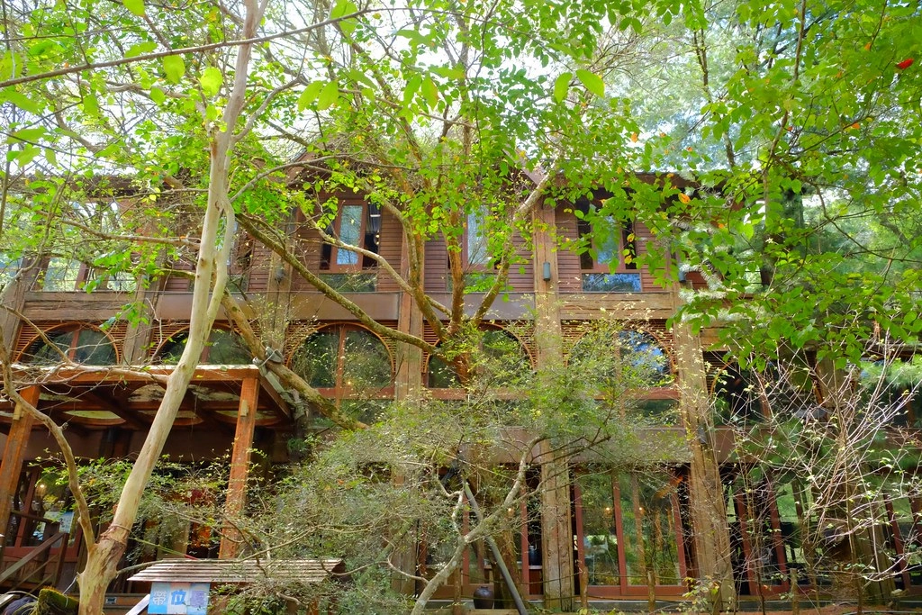 苗栗三義｜綠葉方舟，隱身於山林裡的森林系餐廳，大片草池湖畔美景超療癒 @飛天璇的口袋