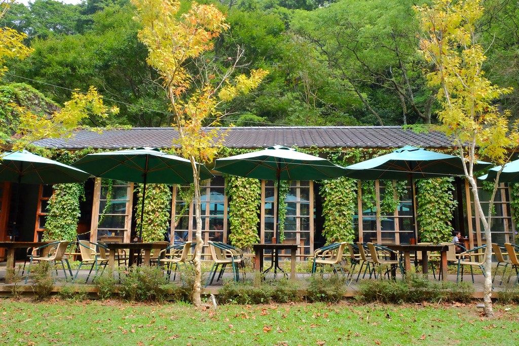 苗栗三義｜綠葉方舟，隱身於山林裡的森林系餐廳，大片草池湖畔美景超療癒 @飛天璇的口袋