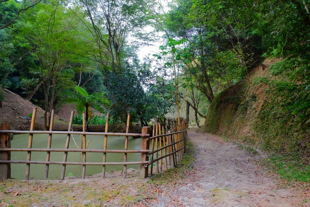 苗栗三義｜綠葉方舟，隱身於山林裡的森林系餐廳，大片草池湖畔美景超療癒 @飛天璇的口袋