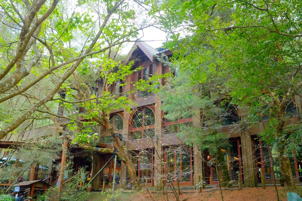 苗栗三義｜綠葉方舟，隱身於山林裡的森林系餐廳，大片草池湖畔美景超療癒 @飛天璇的口袋