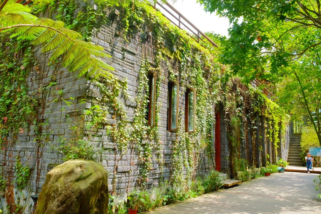 苗栗三義｜綠葉方舟，隱身於山林裡的森林系餐廳，大片草池湖畔美景超療癒 @飛天璇的口袋