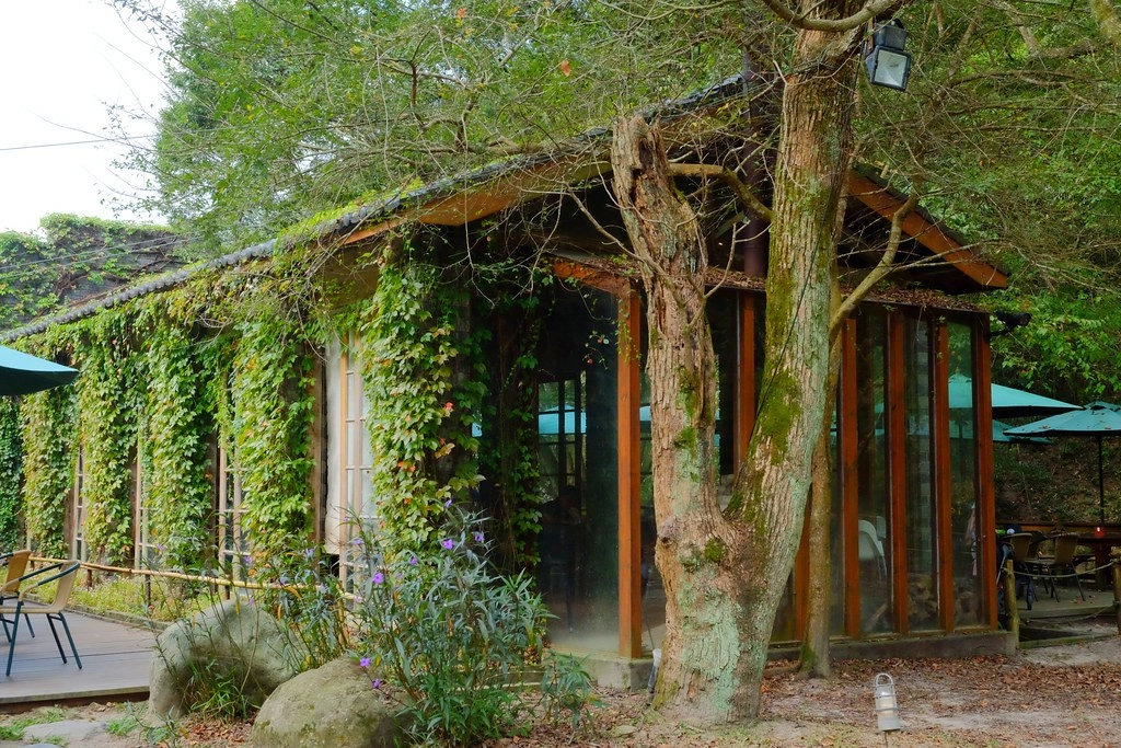 苗栗三義｜綠葉方舟，隱身於山林裡的森林系餐廳，大片草池湖畔美景超療癒 @飛天璇的口袋