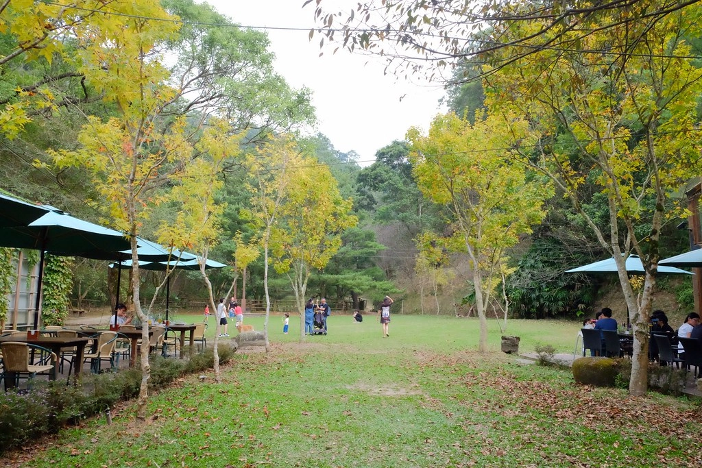 苗栗三義｜綠葉方舟，隱身於山林裡的森林系餐廳，大片草池湖畔美景超療癒 @飛天璇的口袋