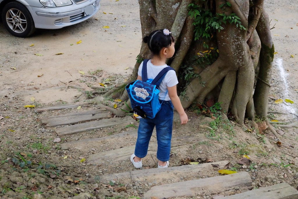 苗栗三義｜綠葉方舟，隱身於山林裡的森林系餐廳，大片草池湖畔美景超療癒 @飛天璇的口袋