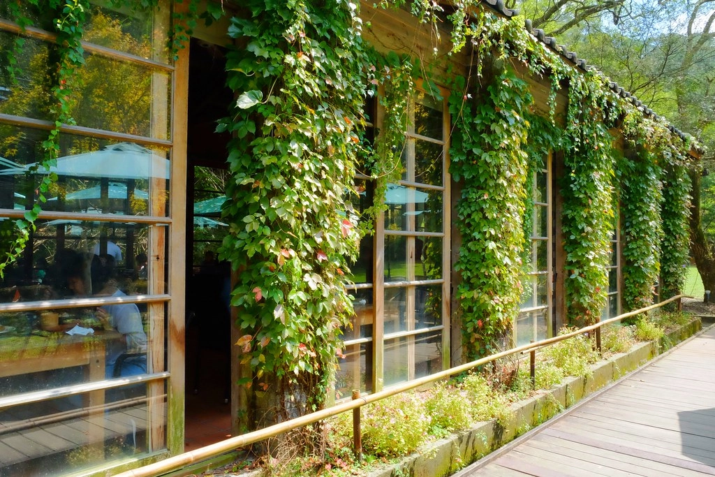 苗栗三義｜綠葉方舟，隱身於山林裡的森林系餐廳，大片草池湖畔美景超療癒 @飛天璇的口袋