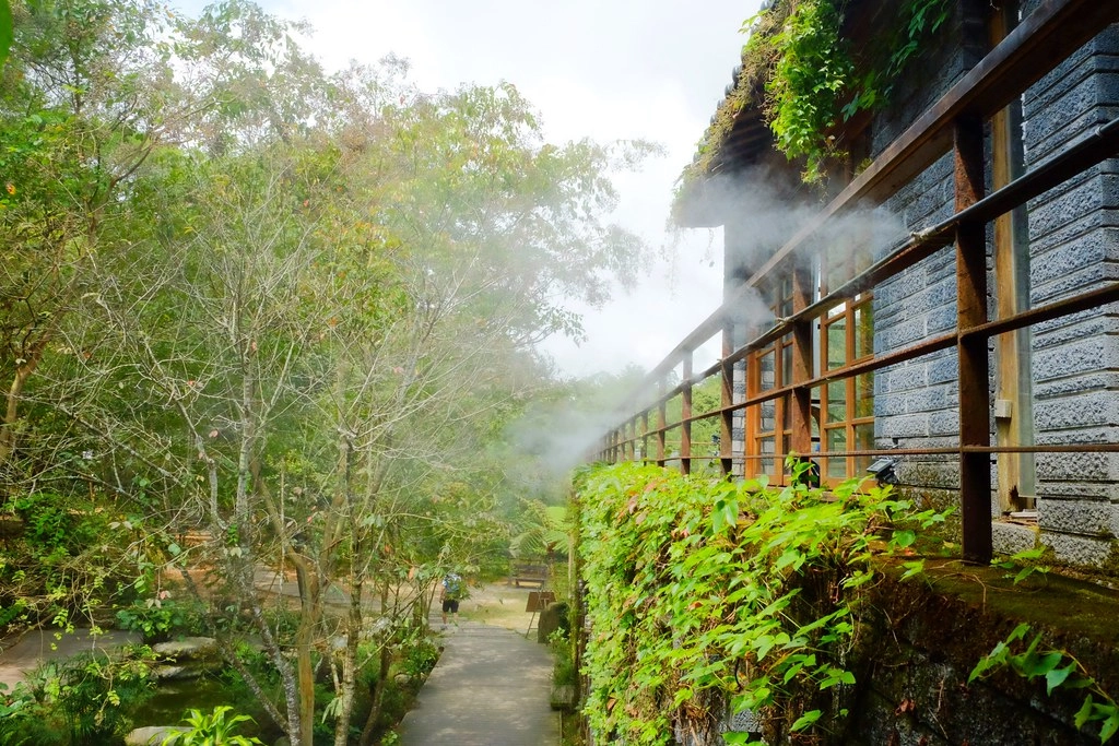 苗栗三義｜綠葉方舟，隱身於山林裡的森林系餐廳，大片草池湖畔美景超療癒 @飛天璇的口袋