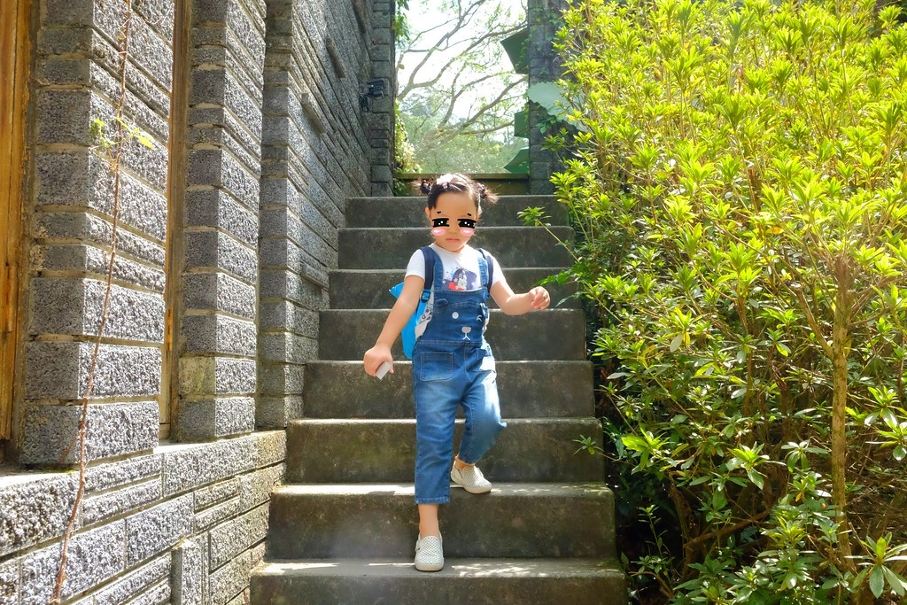 苗栗三義｜綠葉方舟，隱身於山林裡的森林系餐廳，大片草池湖畔美景超療癒 @飛天璇的口袋