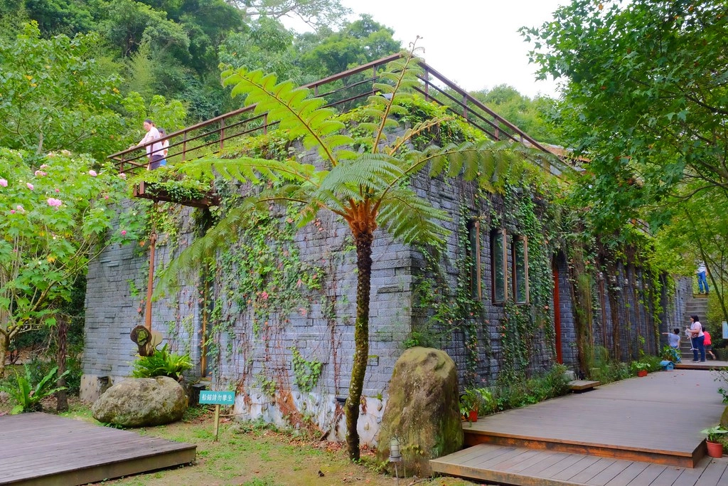 苗栗三義｜綠葉方舟，隱身於山林裡的森林系餐廳，大片草池湖畔美景超療癒 @飛天璇的口袋