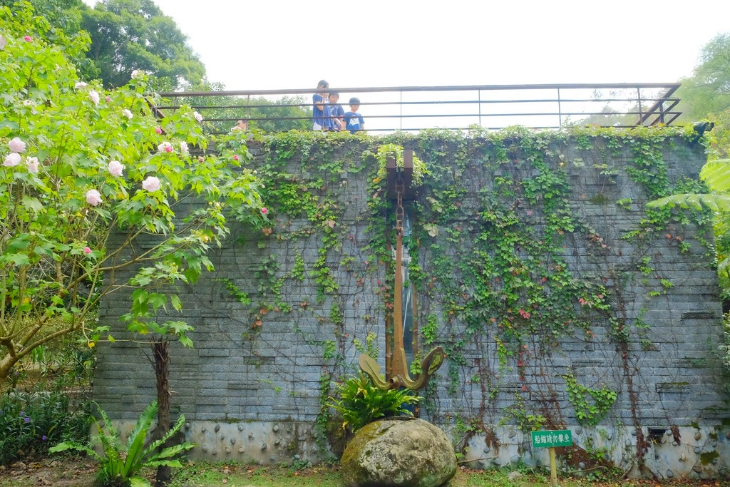 苗栗三義｜綠葉方舟，隱身於山林裡的森林系餐廳，大片草池湖畔美景超療癒 @飛天璇的口袋