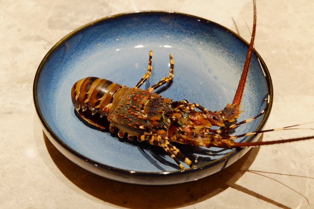 月暮藏涮涮鍋┃台中西屯：最浮誇的小火鍋店，$499元起單人套餐，餐點好吃環境好拍 @飛天璇的口袋