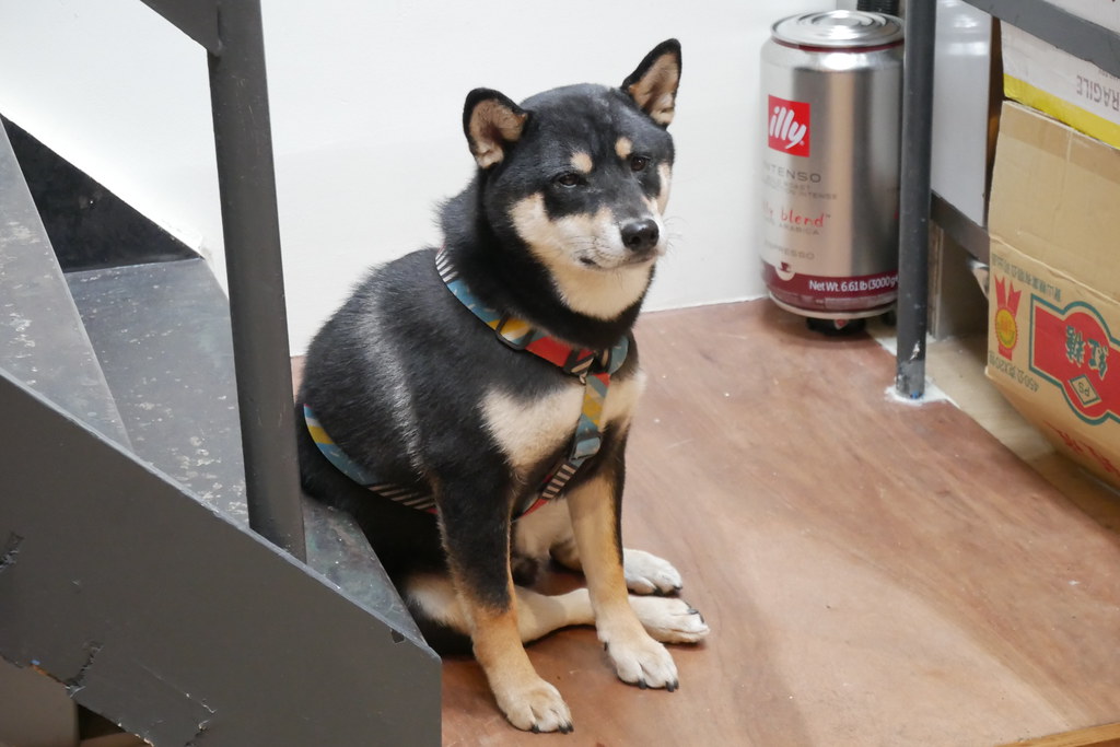 台北大安｜Fly Cafe，眾多朋友推薦第一名的蒼蠅哥肉桂捲，西西里咖啡也是人氣必點 @飛天璇的口袋