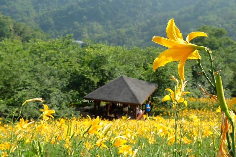 台中美食｜台中景觀餐廳．25+台中景觀餐廳，吃美食也可以欣賞風景 @飛天璇的口袋