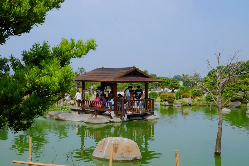 【雲林虎尾】澄霖沉香味道森林館，浪漫的愛心落羽松池塘，日式禪風庭院台版兼六園 @飛天璇的口袋
