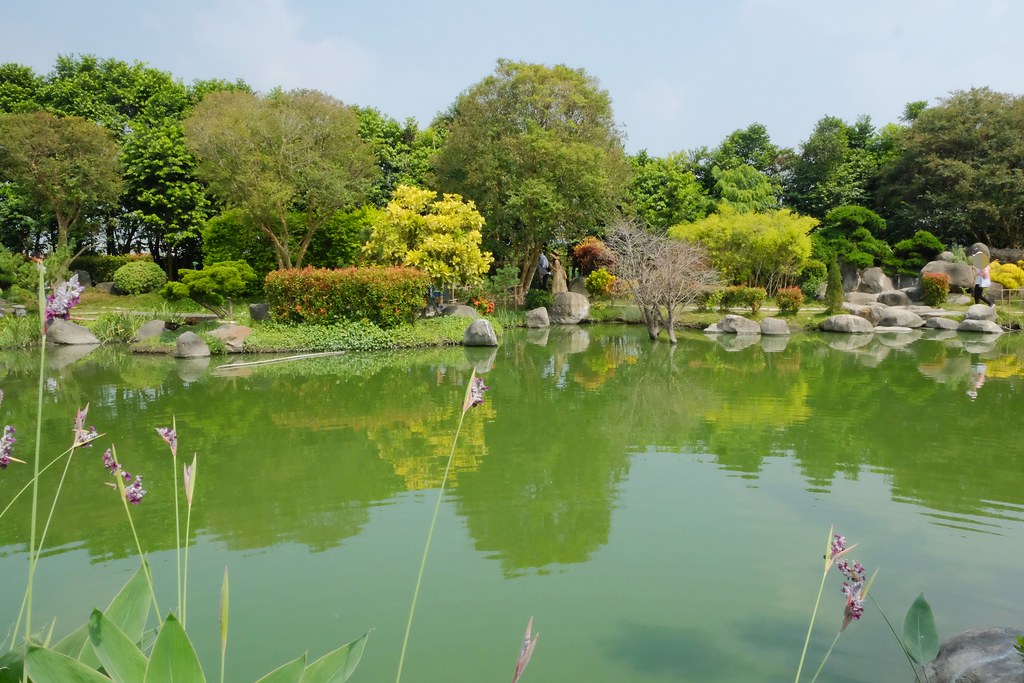 【雲林虎尾】澄霖沉香味道森林館，浪漫的愛心落羽松池塘，日式禪風庭院台版兼六園 @飛天璇的口袋