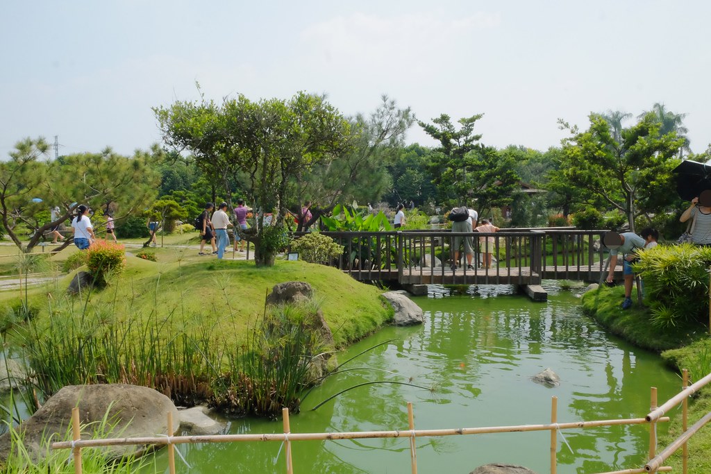 【雲林虎尾】澄霖沉香味道森林館，浪漫的愛心落羽松池塘，日式禪風庭院台版兼六園 @飛天璇的口袋