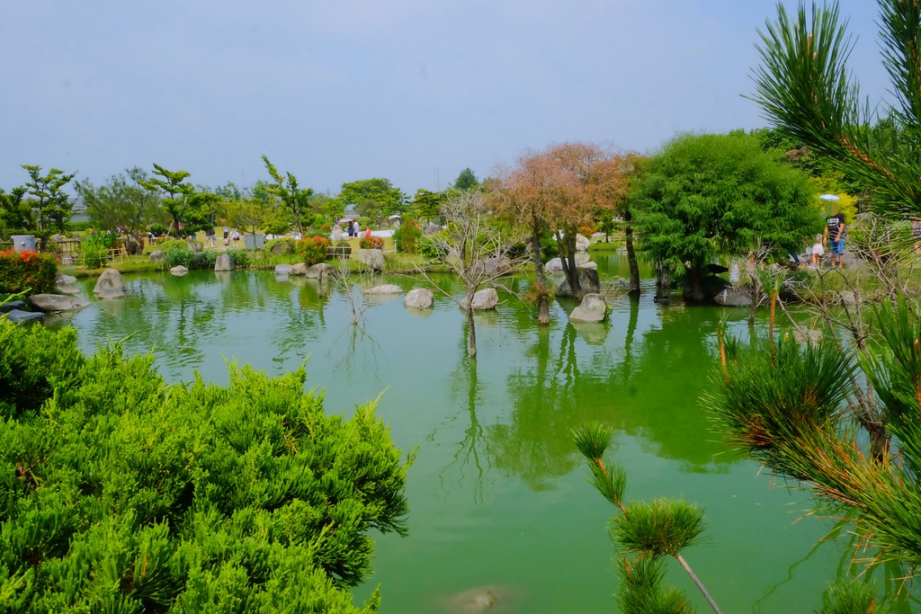【雲林虎尾】澄霖沉香味道森林館，浪漫的愛心落羽松池塘，日式禪風庭院台版兼六園 @飛天璇的口袋