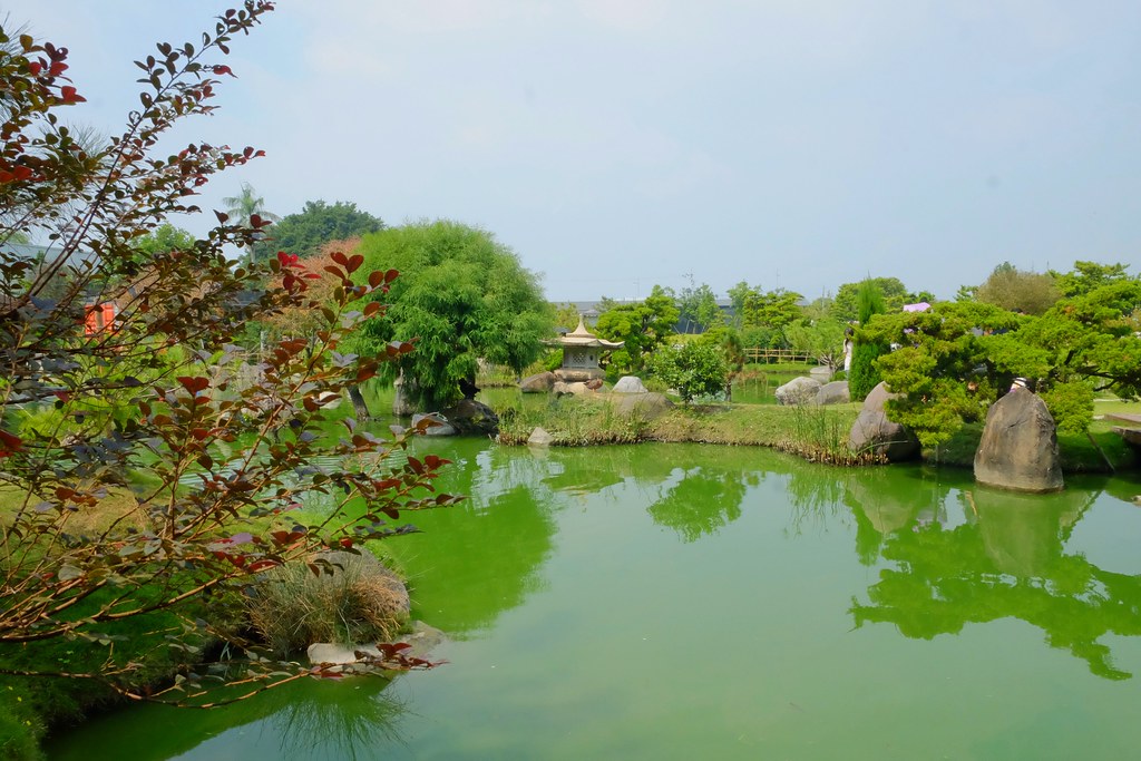 【雲林虎尾】澄霖沉香味道森林館，浪漫的愛心落羽松池塘，日式禪風庭院台版兼六園 @飛天璇的口袋