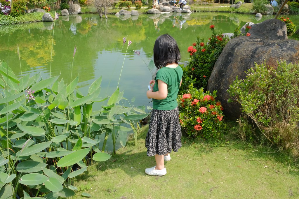 【雲林虎尾】澄霖沉香味道森林館，浪漫的愛心落羽松池塘，日式禪風庭院台版兼六園 @飛天璇的口袋